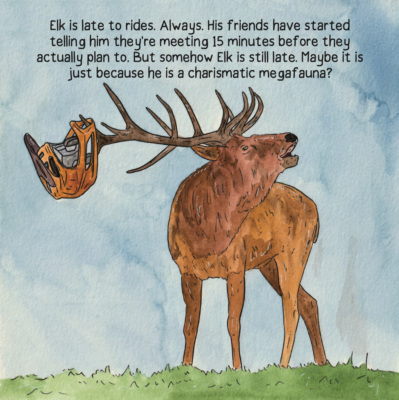 Raccoons Borrowed My Bike by Cy Whitling - Book