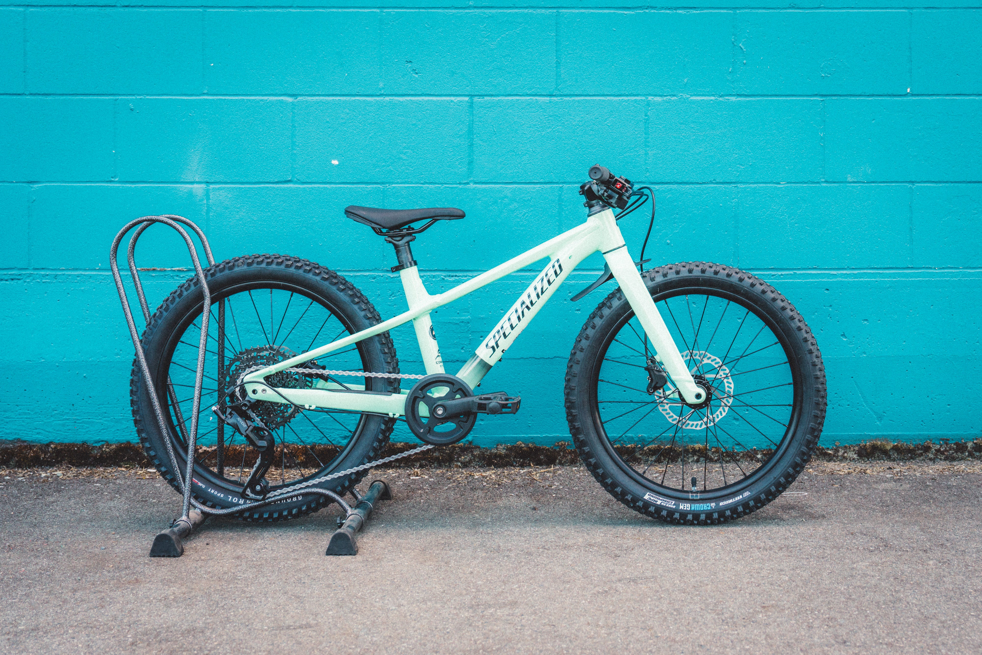Specialized Riprock - 20"