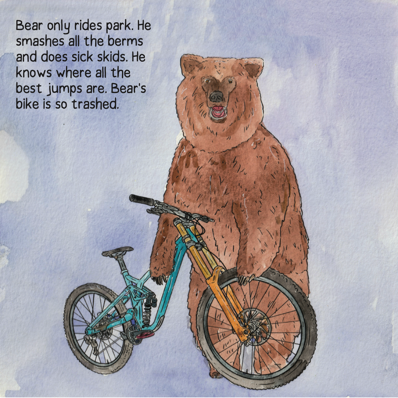Raccoons Borrowed My Bike by Cy Whitling - Book