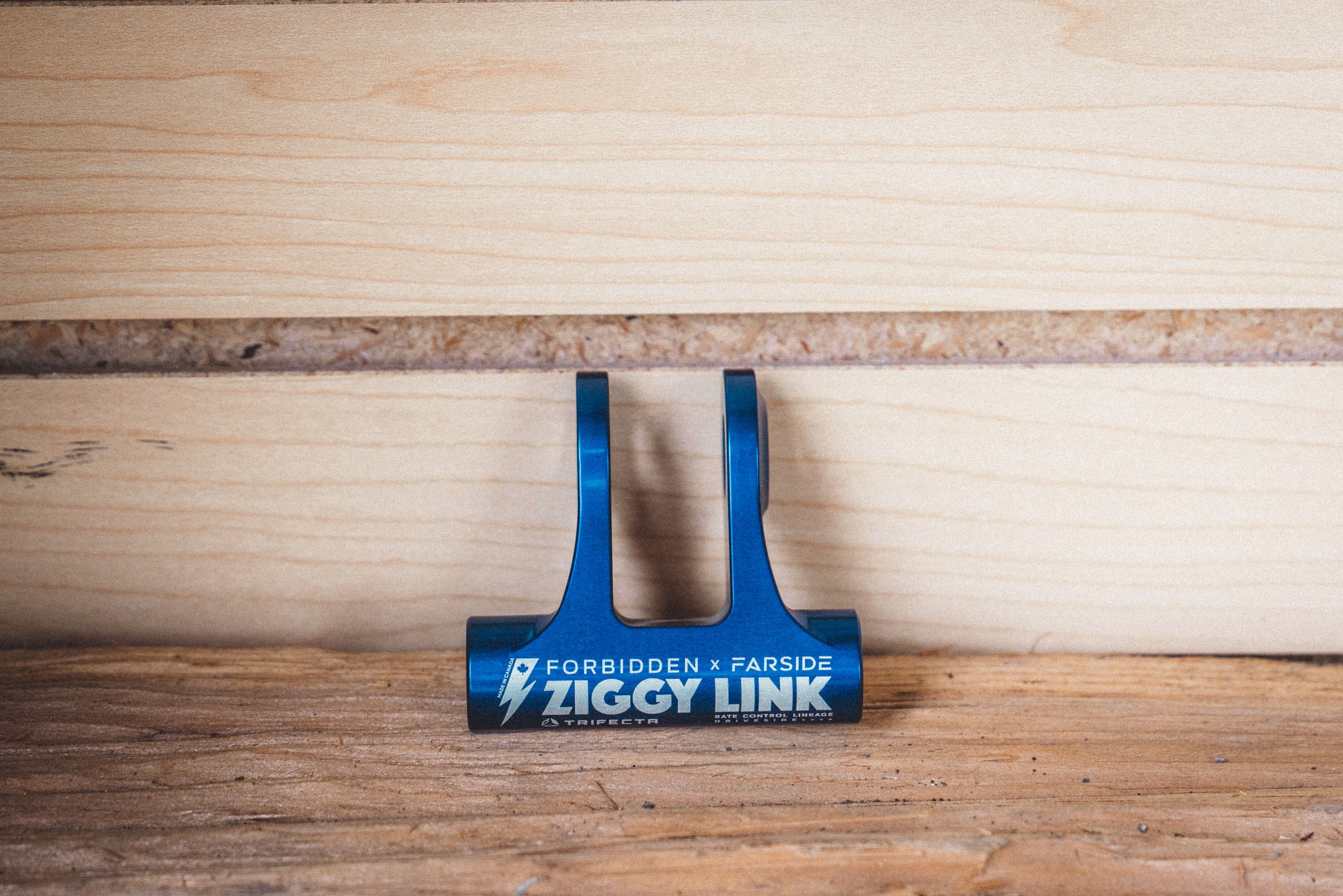Forbidden Ziggy Link