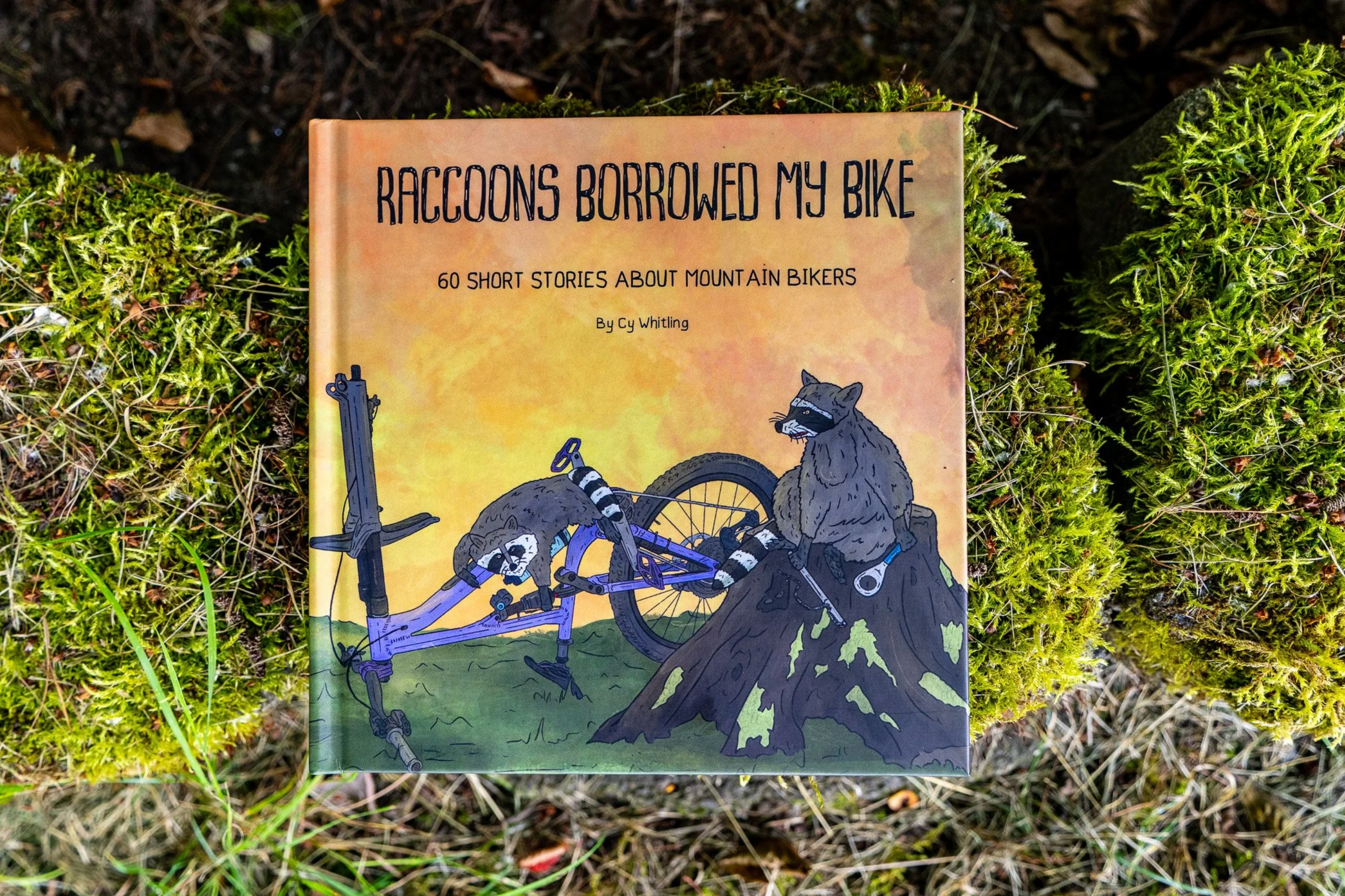 Raccoons Borrowed My Bike by Cy Whitling - Book