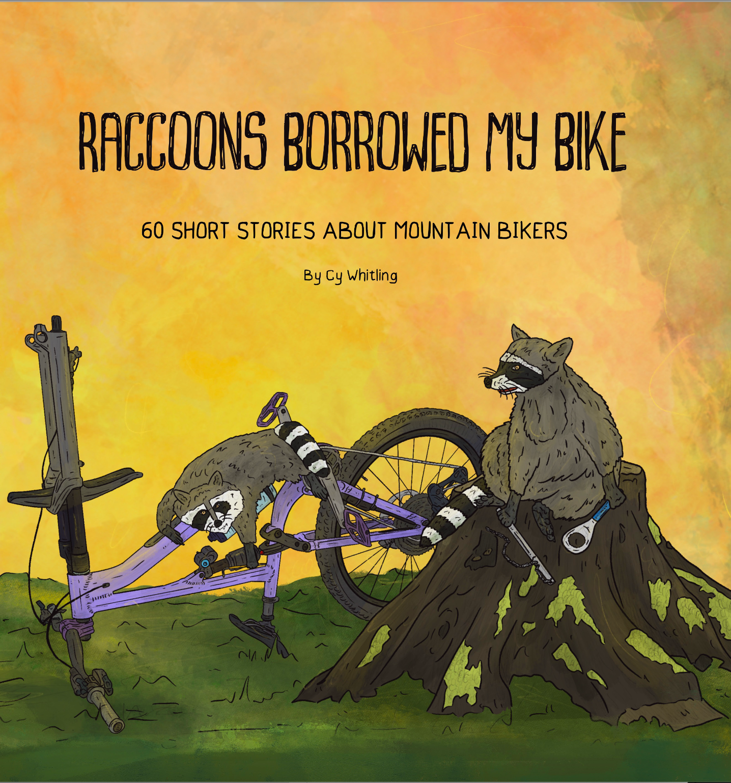 Raccoons Borrowed My Bike by Cy Whitling - Book